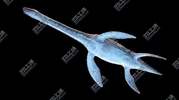 images/goods_img/20210312/3D Plesiosaurus model/5.jpg